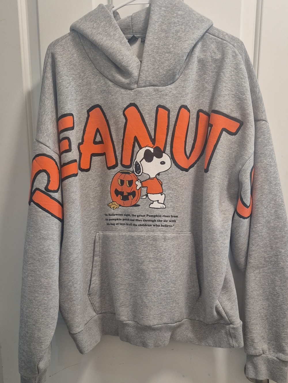 Peanuts Snoopy Halloween Graphic Hoodie - Grey & Orange Womens 2xl